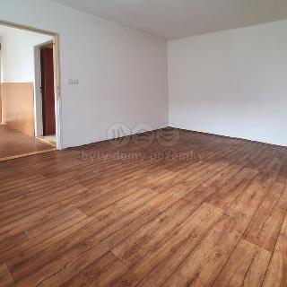 Pronájem bytu 1+kk a garsoniéry 30 m² Litvínov, U Zámeckého parku