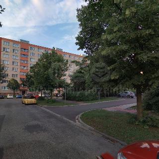 Pronájem bytu 1+1 36 m² Ostrava, Dr. Martínka