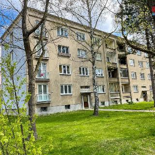 Pronájem bytu 2+1 55 m² Ostrava, Slepá