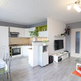 Prodej bytu 3+kk 62 m² Teplice, Prosetická