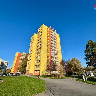 Prodej bytu 1+kk a garsoniéry 27 m² Ostrava, Výškovická