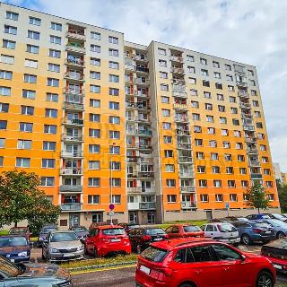 Pronájem bytu 3+1 50 m² Pardubice, Luďka Matury