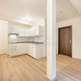 Prodej bytu 2+kk 39 m² Líšnice, Spálený Mlýn