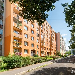 Prodej bytu 1+1 45 m² Ústí nad Labem, Šípková