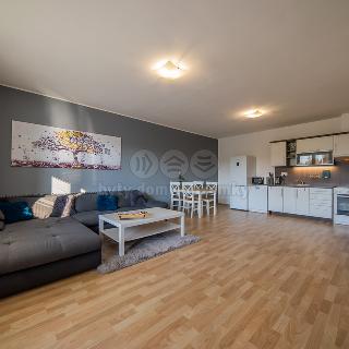 Prodej bytu 2+kk 59 m² Olomouc, Okružní