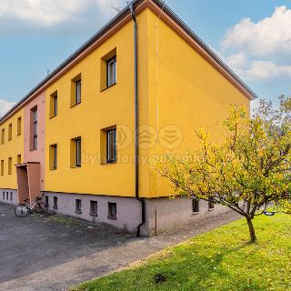 Prodej bytu 3+1 58 m² Nový Bydžov, Merendní