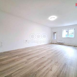 Pronájem bytu 1+1 44 m² Nová Ves