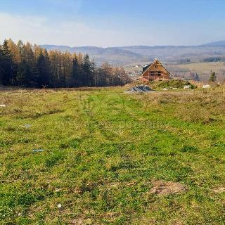 Prodej stavební parcely Václavov u Bruntálu