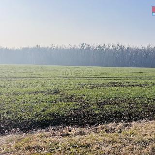 Prodej zemědělské půdy Frýdek-Místek