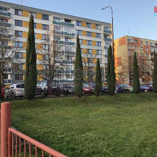 Pronájem bytu 3+1 81 m² Dobruška, Za Universitou