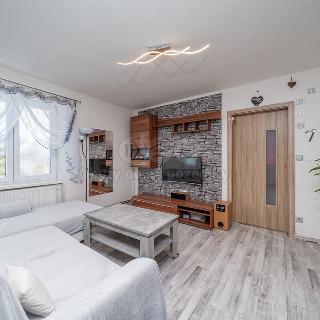 Prodej bytu 2+1 65 m² Březina