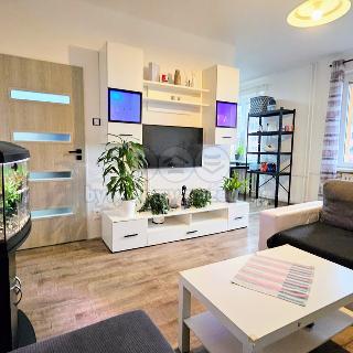 Prodej bytu 2+1 50 m² Ostrava, Kyjevská