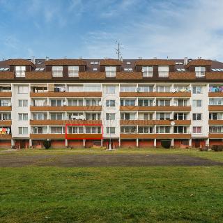 Prodej bytu 3+1 88 m² Hradec Králové, K Sokolovně