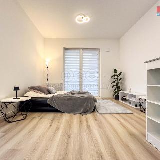 Pronájem bytu 1+kk a garsoniéry 38 m² Praha, Milánská