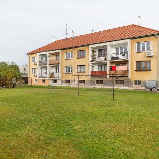 Prodej bytu 3+1 63 m² Křinec