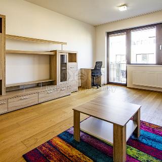 Pronájem bytu 1+kk a garsoniéry 37 m² Praha, K Beranovu