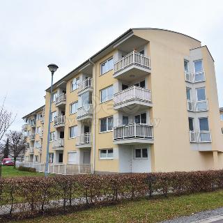 Pronájem bytu 2+kk 56 m² Poděbrady, Kozinova