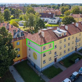 Prodej bytu 2+1 50 m² Uničov, Pionýrů