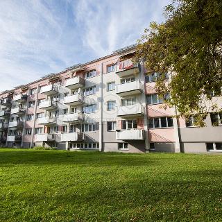 Pronájem bytu 1+kk, garsoniery 32 m² Hradec Králové