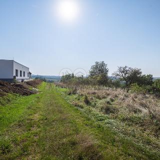 Prodej stavební parcely Mistřice