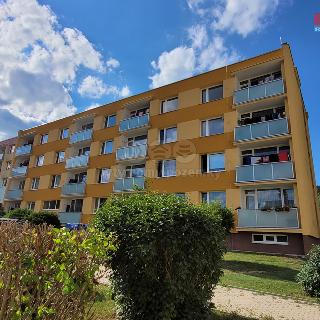 Pronájem bytu 2+1 67 m² Hodkovice nad Mohelkou, Podlesí