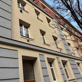 Pronájem bytu 1+1 40 m² Praha, Nemocniční