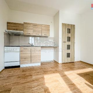 Prodej bytu 1+1 36 m² Litoměřice, Vrchlického