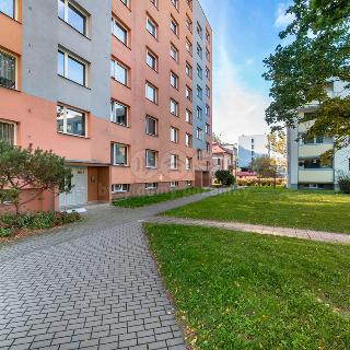 Prodej bytu 1+1 38 m² Litomyšl, Komenského nám.