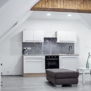 Pronájem bytu 1+1 57 m² Louny, Fűgnerova