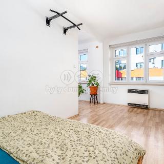 Prodej bytu 1+1 42 m² Praha, V Horkách