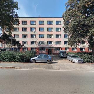 Pronájem bytu 1+kk a garsoniéry 20 m² Jindřichův Hradec