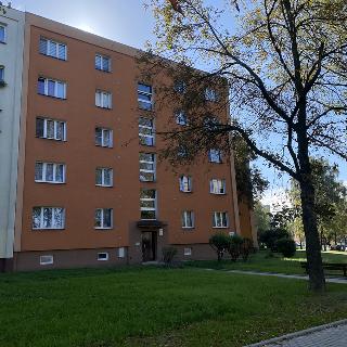 Prodej bytu 3+1 57 m² Karviná, Majakovského