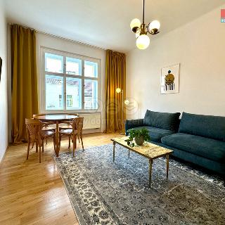 Pronájem bytu 2+1 51 m² Praha, Holandská