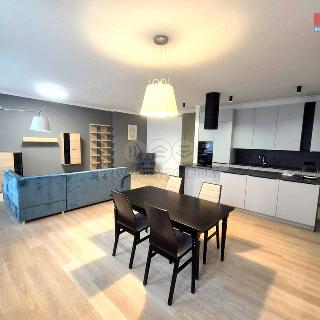 Pronájem bytu 2+kk 100 m² Chomutov, Klostermannova