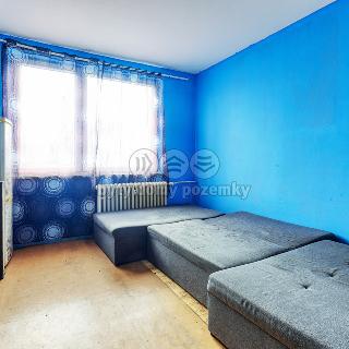 Prodej bytu 1+kk a garsoniéry 20 m² Rovná