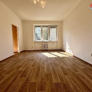 Pronájem bytu 2+1 55 m² Ostrava, Svojsíkova