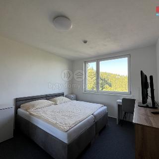 Prodej bytu 1+kk a garsoniéry 24 m² Valašské Klobouky, Jelenovská