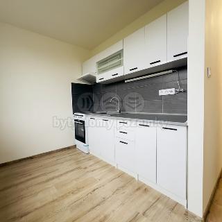 Pronájem bytu 2+1 60 m² Chomutov, Jirkovská