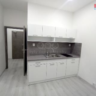 Pronájem bytu 1+1 28 m² Frýdek-Místek, Růžový pahorek