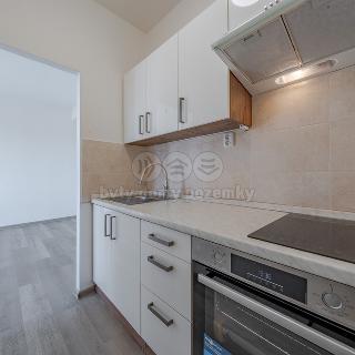 Pronájem bytu 2+kk 39 m² Rožnov pod Radhoštěm, Moravská