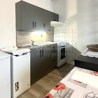 Pronájem bytu 1+kk a garsoniéry 39 m² Holoubkov