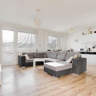 Prodej bytu 3+1 72 m² Štětí, Obchodní