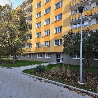 Prodej bytu 1+1 32 m² Kolín, Na Magistrále