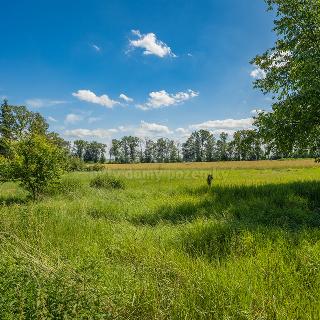 Prodej stavební parcely Loucká