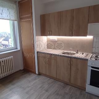 Pronájem bytu 3+1 64 m² Bílovec, 17. listopadu