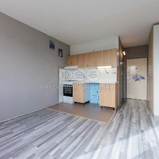 Pronájem bytu 1+1 40 m² Sokolov, Švabinského