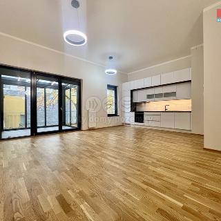 Pronájem bytu 1+kk a garsoniéry 63 m² Praha, K Červenému vrchu