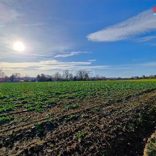 Prodej stavební parcely Opava