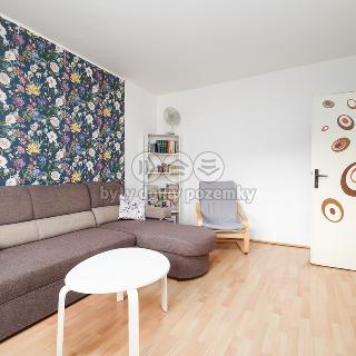 Prodej bytu 2+1 53 m² Kadaň, Chomutovská