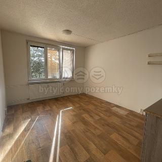 Pronájem bytu 1+1 36 m² Chomutov, Růžová